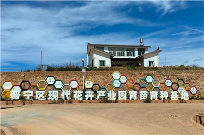 【案例故事】享誉世界的春城花都，星空网页版登录入口
助力云南晋宁走出“芬芳”致富路