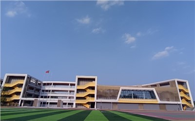 高清拾音技术革新：解决音质模糊挑战，打造清晰音频体验
